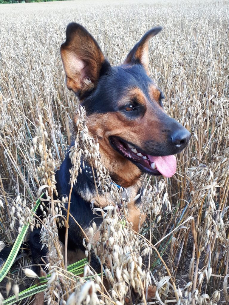 Ronja von JHG-medica